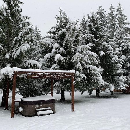 Bear'S Den Hideaway With Hot Tub Villa Ashford Eksteriør bilde
