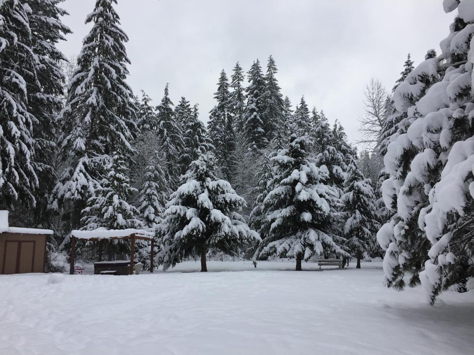 Bear'S Den Hideaway With Hot Tub Villa Ashford Eksteriør bilde